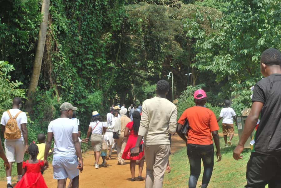 1-Day Best of Entebbe City Guided Walking Tour - Key Things I’d Prioritize on This Entebbe Walk