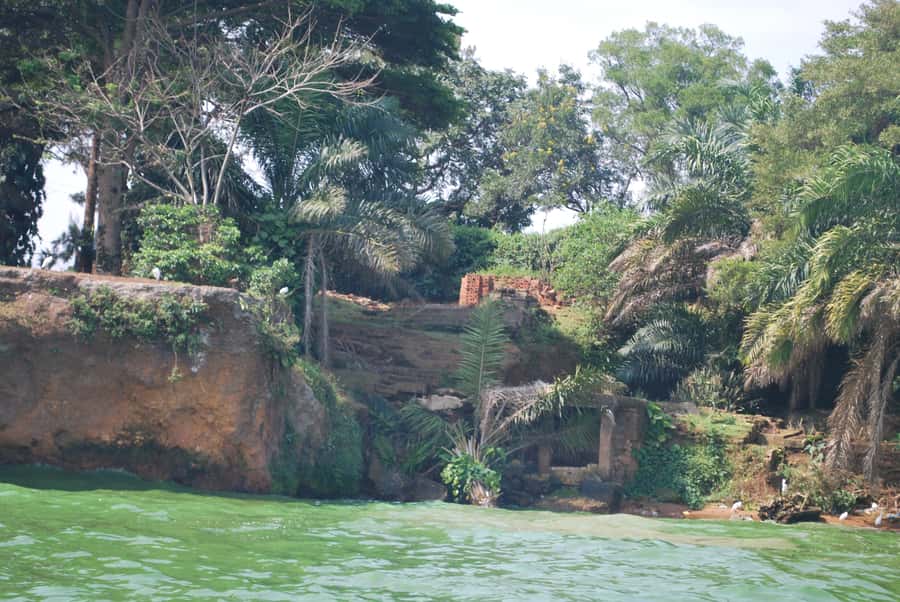 1-Day Best of Entebbe City Guided Walking Tour - Nambi Fish Market: Where Lakeside Life Shows Up in Real Time
