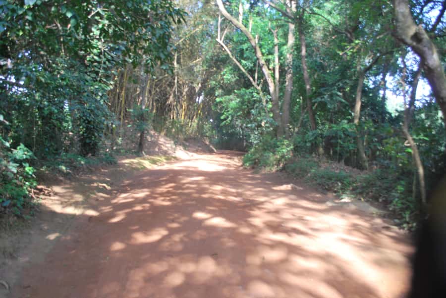 1-Day Best of Entebbe City Guided Walking Tour - Colonial Entebbe Landmarks, Parks, and the Governor’s Mansion View