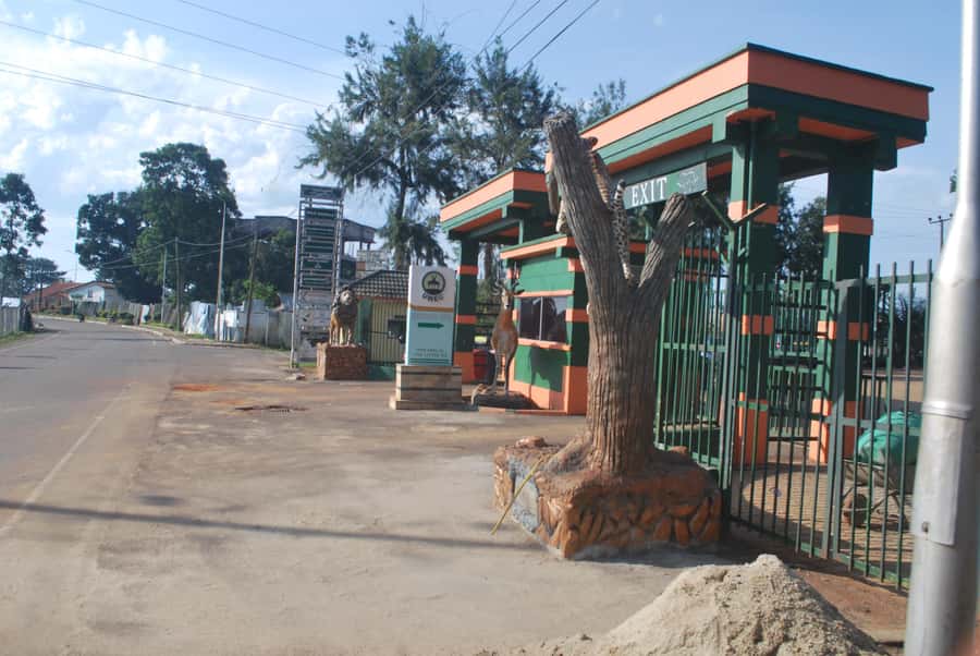1-Day Best of Entebbe City Guided Walking Tour - Souvenir Shopping at Uganda Markets and Pearl Craft Village
