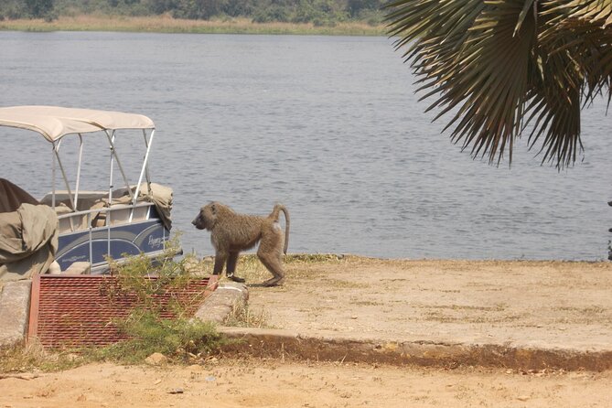 1 Day Lake Mburo Wildlife Safari - Entering Lake Mburo National Park: The Main Event