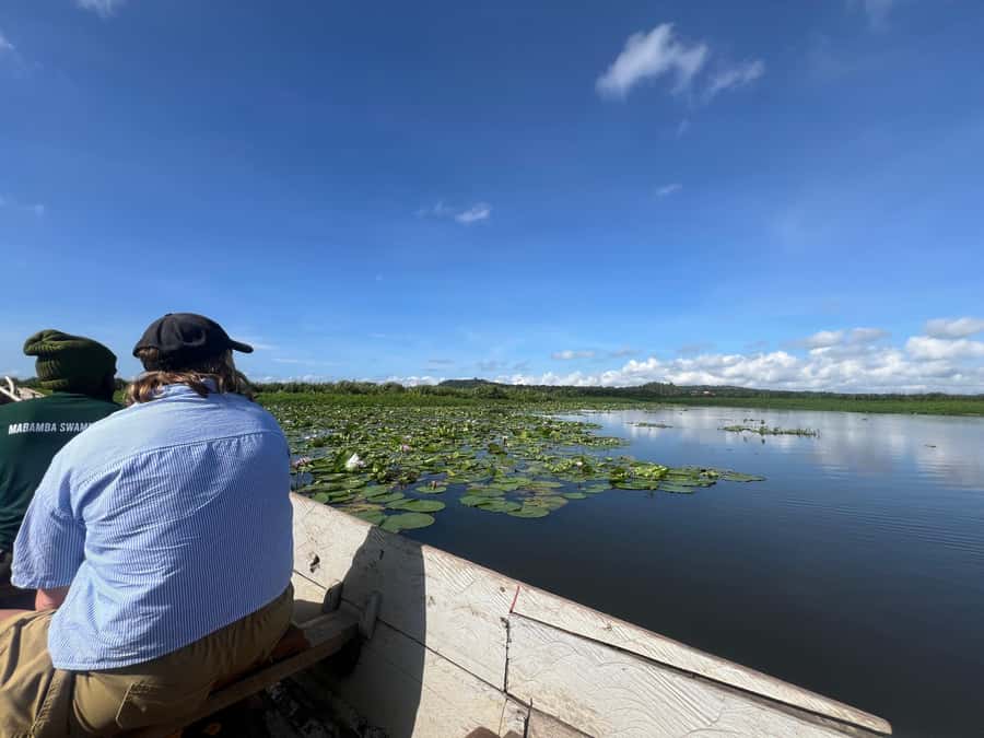1-Day Mabamba Shoebill Birding Tour in Lake Victoria Entebbe - Guides, pace, and what the 6 hours feel like