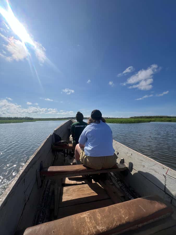 1-Day Mabamba Shoebill Birding Tour in Lake Victoria Entebbe - Should you book the 1-Day Mabamba Shoebill Birding Tour?