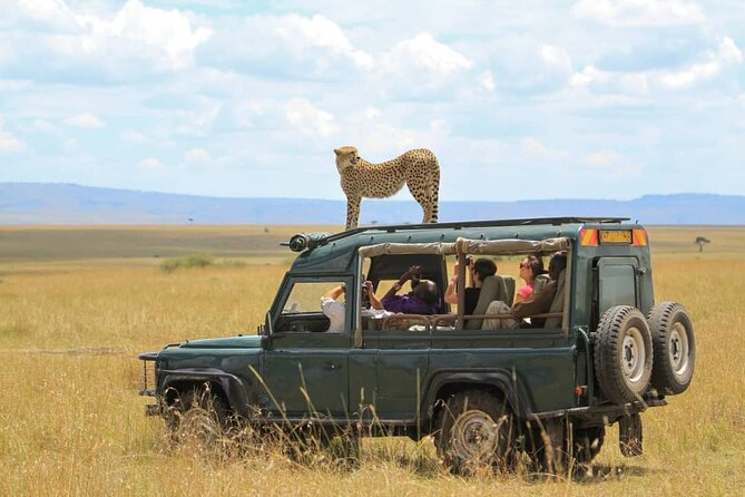10-Day African Safari in Uganda from Kampala - Day 8: Lake Mutanda name, Kazinga Channel activities in the plan