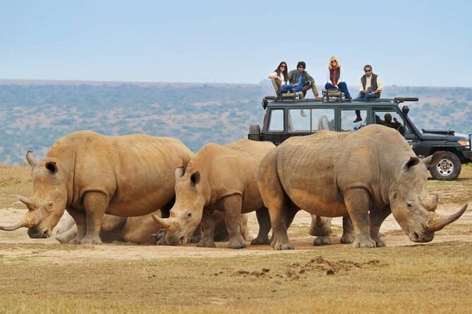 10-Day African Safari in Uganda from Kampala - Price and logistics: where $7,400 per person really goes