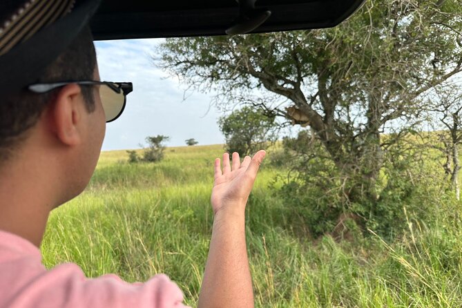 10 Day Uganda Memorable Lifetime Gorilla and Chimpanzee Safari - Key highlights that make this safari click