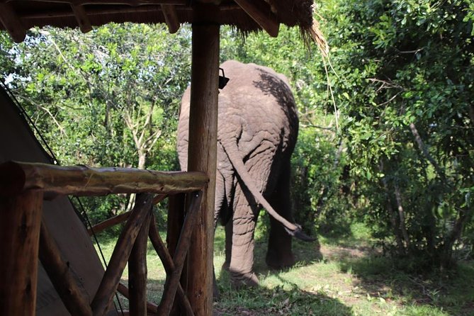 10 Day Western Uganda Budget Wildlife Safari - Lake Bunyonyi to Lake Mburo: lighter days with animal encounters