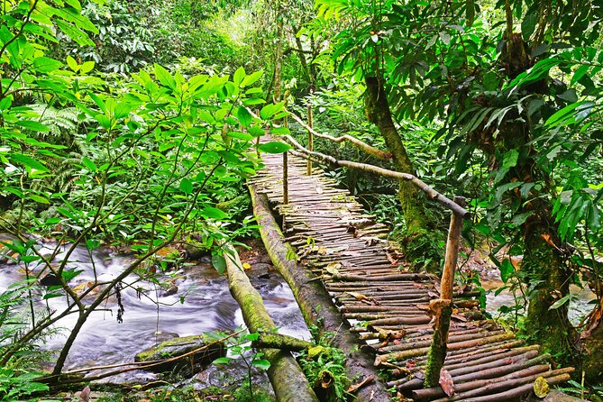 10 Days Affordable Gorilla Trekking Holiday - Queen Elizabeth: Kasenyi predators and Kazinga Channel water life