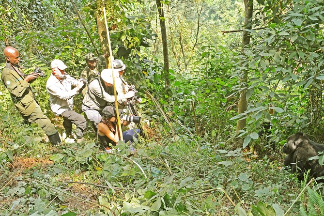 10 Days Affordable Gorilla Trekking Holiday - Lake Mburo: cycling safari style and Igongo cultural stop