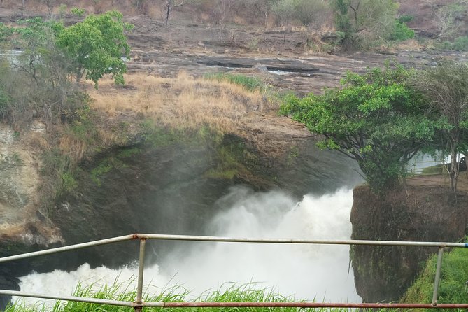 10 Days Uganda Gorilla & Chimpanzee Trekking Safari - Lake Bunyonyi To Lake Mburo: Zebras, Night Drives, And Horseback