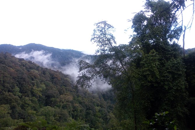 10 Days Uganda Gorilla & Chimpanzee Trekking Safari - Price And Value At $5,000 Per Person (What You’re Really Paying For)