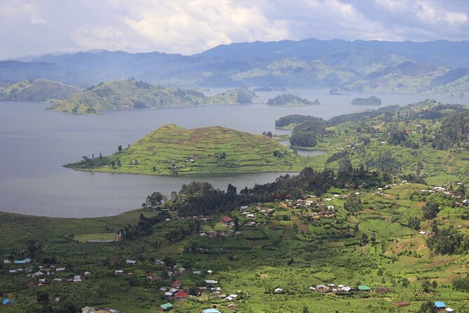 10-Days Uganda Gorillas and Chimpanzee Wildlife Discovery - Bwindi Impenetrable National Park: gorilla tracking and what to expect on the trek day