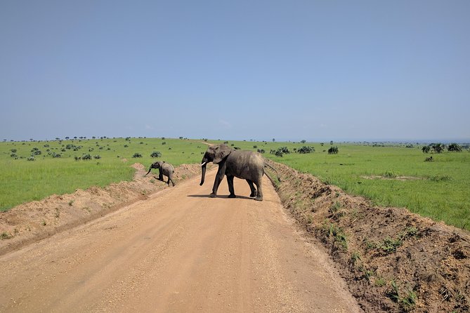 11 Days Uganda +Gorillas - Practical Tips Before You Go (Based on What the Trip Emphasizes)