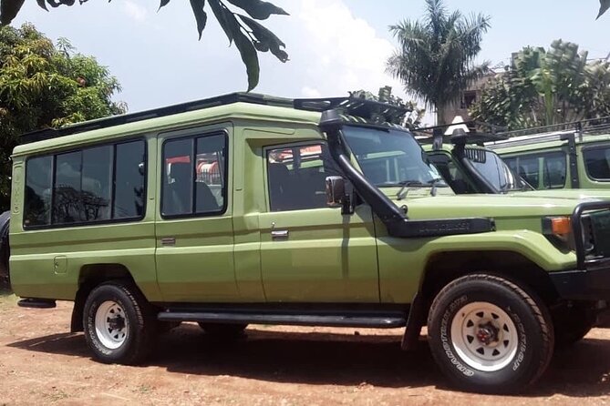 12-Day Moderately Priced Pearl of Africa - Uganda Private Safari - Kampala or Entebbe pickup, and how the driving days feel