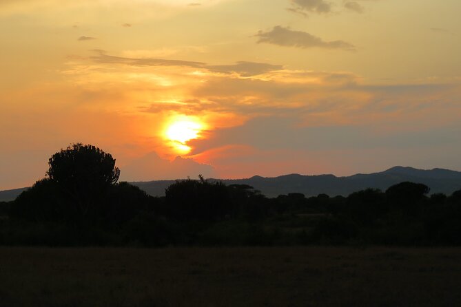 12-Day Moderately Priced Pearl of Africa - Uganda Private Safari - Ishasha tree-climbing lions, then onward toward Bwindi