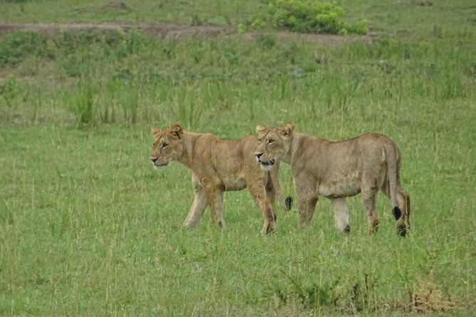 12 Days Memorable Experience tour in Uganda - Moroto and Kara Tunga: Mountain Biking, Gold Mining, and the Blood-Feeding Curiosity