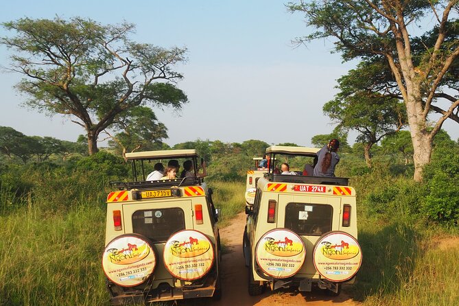 13-Day Wildlife Adventure Trip to the Pearl of Africa - Lake Mburo National Park: evening game drives and a guided ranger walk (Days 12 and 13)