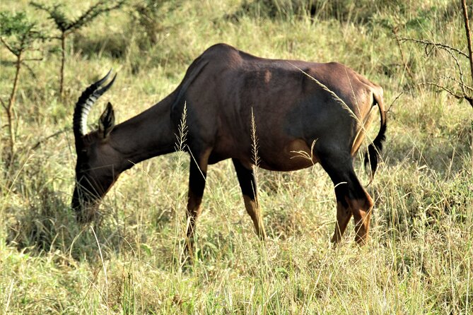 13 Days Private tour to discover Uganda's Best Safari - Lake Bunyonyi: slow the pace with boat time and a Batwa visit