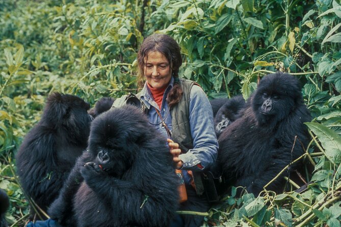 13 Days Wildlife Adventure Trip To The Pearl Of Africa - Murchison Falls, Zziwa rhino tracking, and Big Five style days