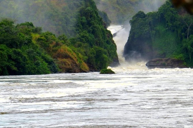 15 Day Gorillas, Chimps and Big 5 Safari Tour - Day 1 to 2: Rhino Fund Uganda, Zziwa Rhino Sanctuary, and Murchison Falls in full force