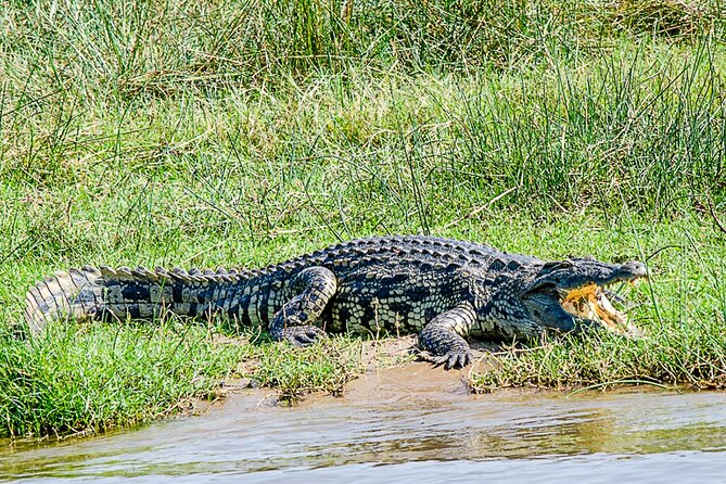 2 Day Guided Murchison Falls And Zziwa Rhino Trekking Safari - Physical readiness and what to pack (so day two feels easier)