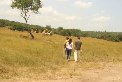 2 Day Lake Mburo National park wildlife Safari