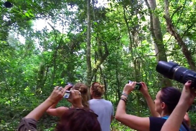 2 Days Chimpazee Safari In kibale Forest Park Uganda. - Kanyanchu 08:00 briefing: how chimp tracking becomes real