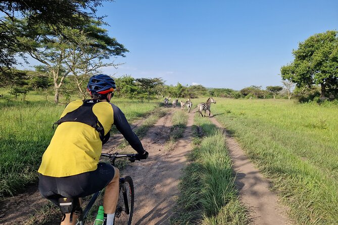 2 Days Cycling Safari To Lake Mburo National Park - Key highlights before you book