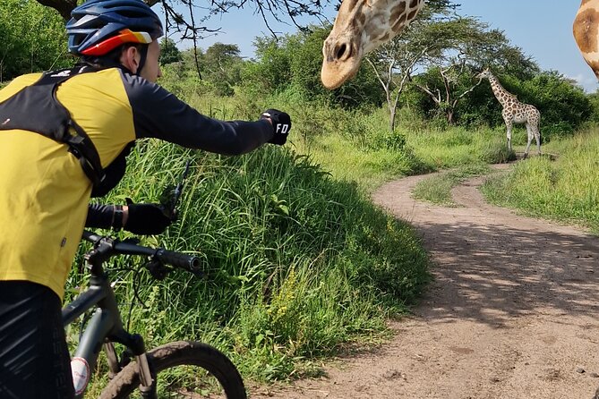 2 Days Cycling Safari To Lake Mburo National Park - Wildlife moments you can plan around
