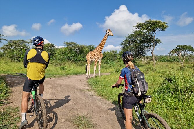 2 Days Cycling Safari To Lake Mburo National Park - Nighttime safari: the included idea, and the day 1 note