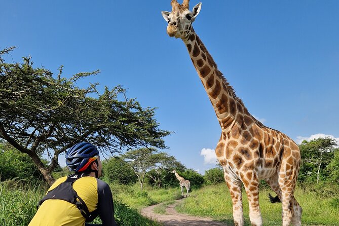 2 Days Cycling Safari To Lake Mburo National Park - Comfort, food, and how full board changes the vibe