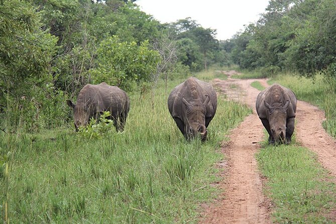 2 days Murchison Falls and Wildlife Game Viewing - Price and Value: Is $690 Per Person Fair for Two Days?