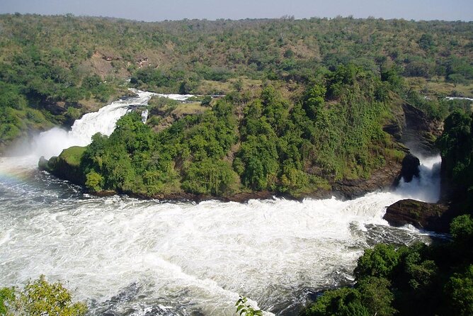2 Days Murchison Falls Park Vacation - Key highlights you should care about