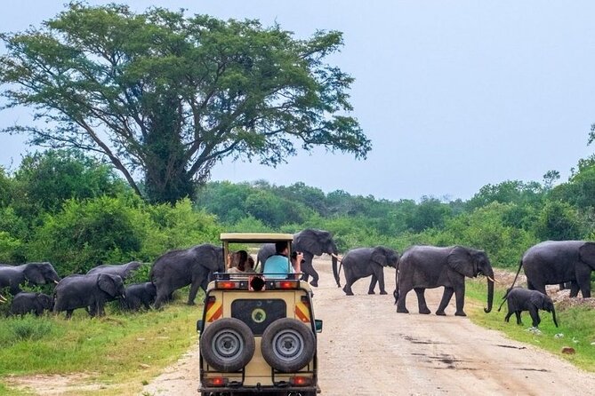 2 Days Murchison Falls Park Vacation - Ziwa Sanctuary and Rhino Fund Uganda: your rhino time is the calm start