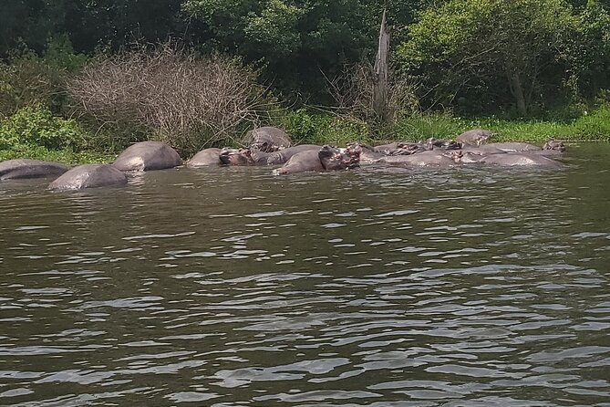 2 Days Murchison Falls Park Vacation - Your overnight at Nile Breeze Lodge: why the included stay matters