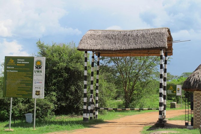 2 Days Popular Safari to Lake Mburo National Park - Lunch, drive back, and getting dinner in Kampala or Entebbe
