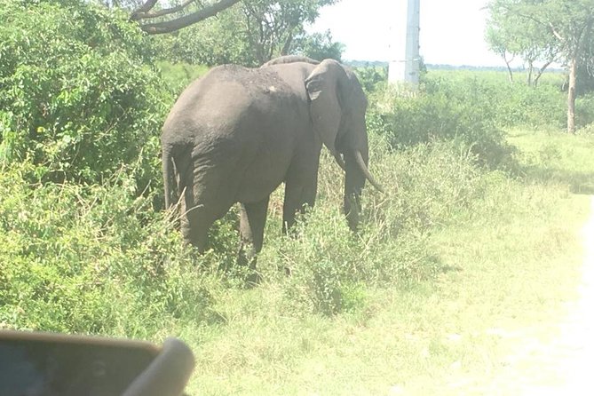 2 Days Safari To Queen Elizabeth National Park with Cruise - Getting from Kampala to the park: the road trip and equator photo break