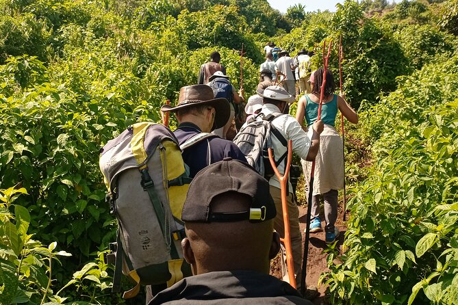 2 Days Sipi Falls Hike and Coffee Tour - Price and value: is $490 per person fair for what you get?