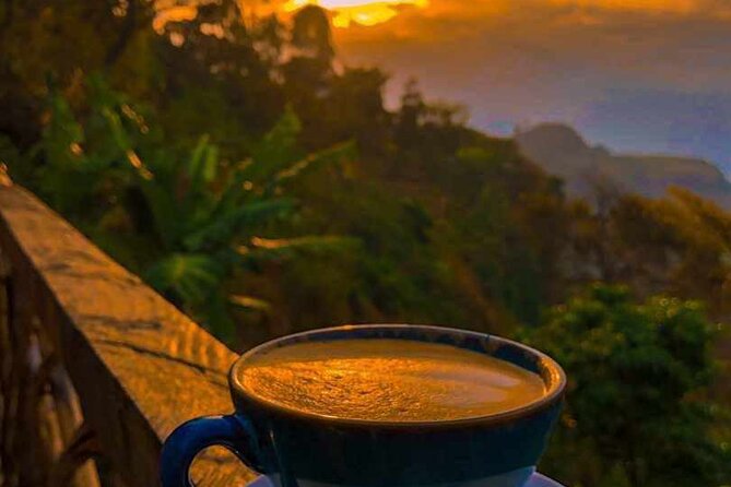 25 day uganda Rwanda kenya and Tanzania safari Zanzibar inclusive - Kibale National Park and Bigodi Wetlands: chimp trekking with physical reality