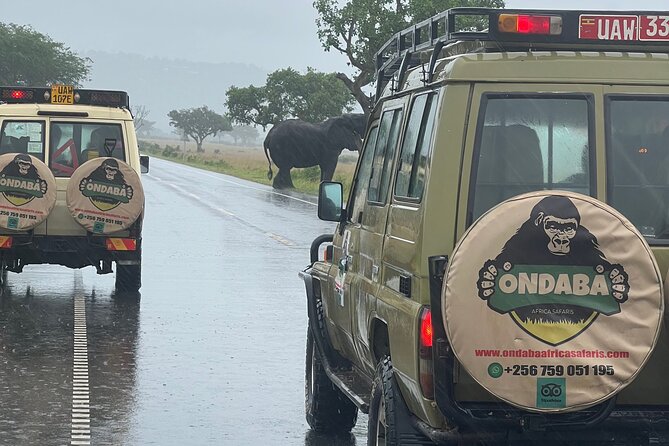 2Days Murchison Falls NP Safari - Practical Tips So You Don’t Lose Time or Energy