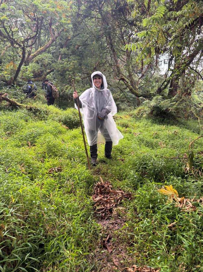 3-Day Gorilla Experience In Uganda - Day 2: gorilla briefing, 2 to 3 hour trek, then one unforgettable hour watching one family