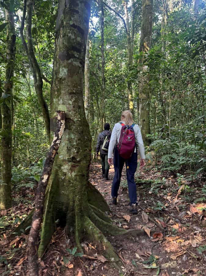 3-Day Gorilla Experience In Uganda - Gorilla permit reality, trekking conditions, and how to prepare