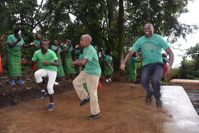 3-Day Gorilla Trekking safari in Bwindi Impenetrable Forest - Morning Pickup to Bwindi, Plus the Equator and Mbarara Detour