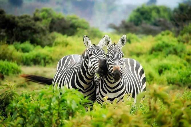 3-Day Mind Refreshing in Murchison Falls National Park - What included really means: accommodation, meals, WiFi, and packing