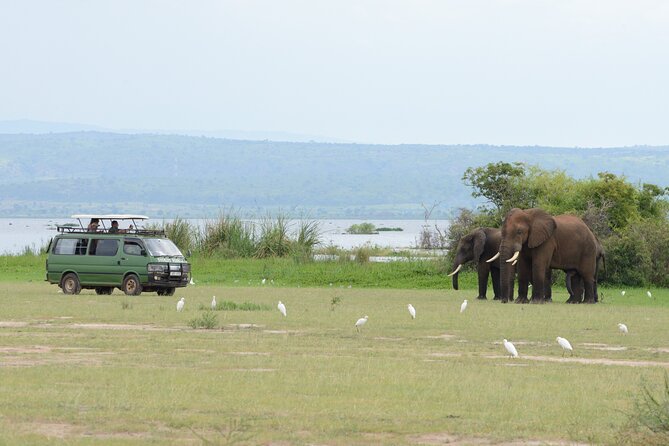 3 Day Murchison Falls' BIG 5 and Wildlife viewing Safari - Day 2: Northern-sector game drive, then the 3-hour boat cruise to Devil’s Cauldron