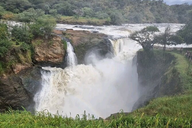 3 Day Murchison Falls' BIG 5 and Wildlife viewing Safari - Wildlife spotting that actually fits this safari’s rhythm
