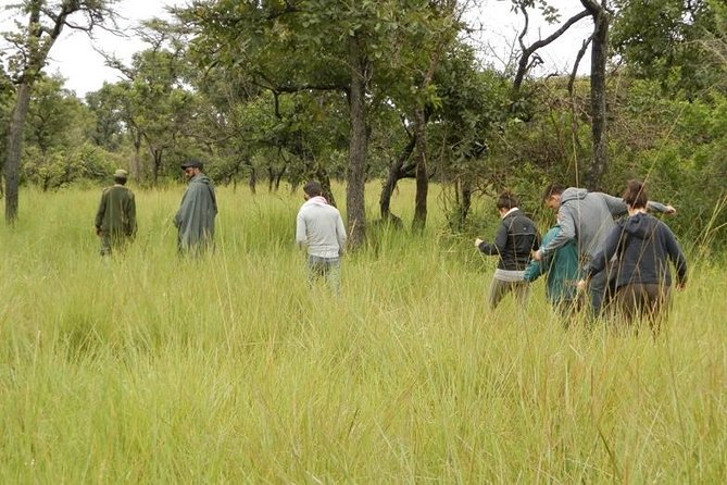 3-Day Murchison Falls National Park - Adventure Safari - Kampala to Murchison Falls: the long drive you should plan for