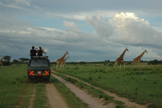 3-Day Murchison Falls National Park - Adventure Safari - Price and value: is $1,580 per person fair for this mix?
