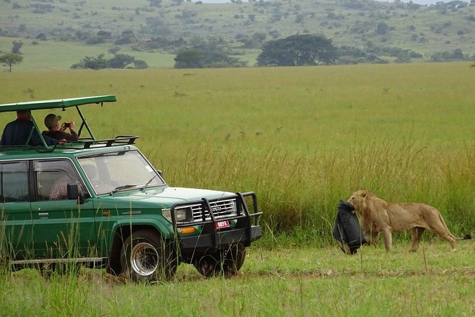 3-Day Murchison Falls National Park - Adventure Safari - Lodges, food, and guides: the service quality behind those 5-star scores