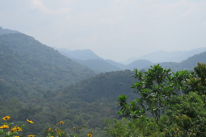 3 -Day Private Gorilla Trekking Safari in Bwindi Forest - Price and value: what 1,698 USD covers, and why it can be fair
